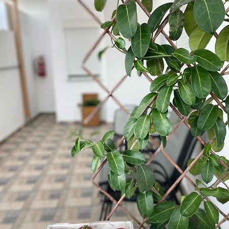 Blue Horizon Apartment Achlia Ngoại thất bức ảnh