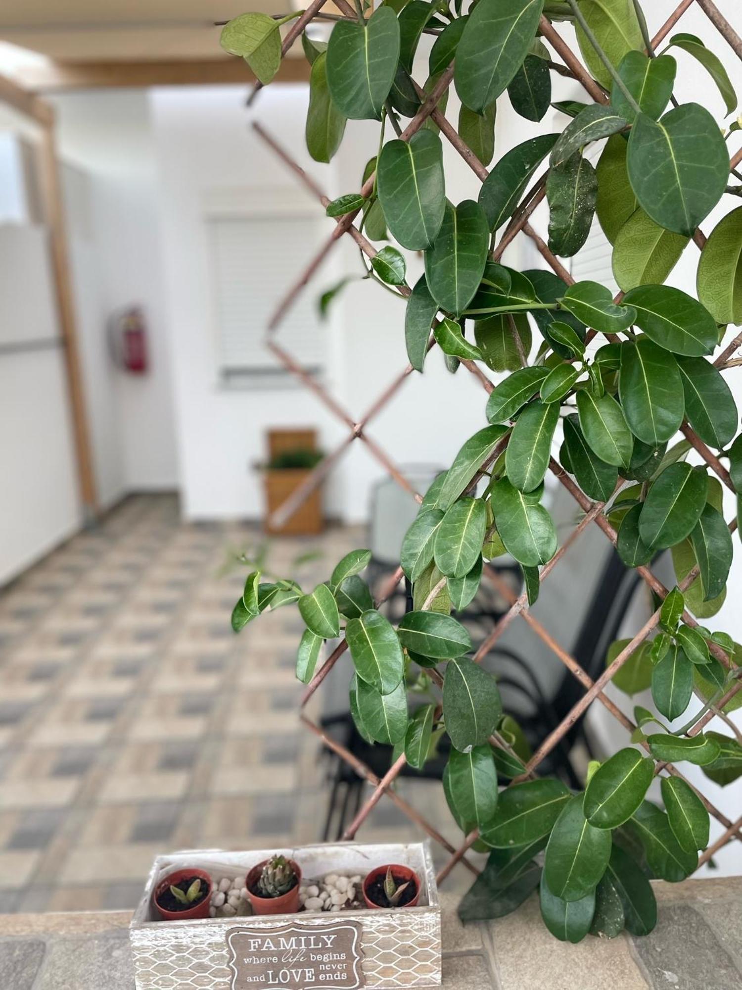 Blue Horizon Apartment Achlia Ngoại thất bức ảnh